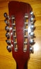H79_12strings_1966_09.jpg
475x800 - (56 kb)