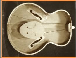 Harmony guitars internal views