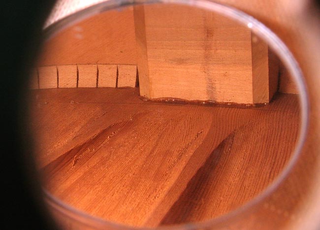 Harmony guitars internal views