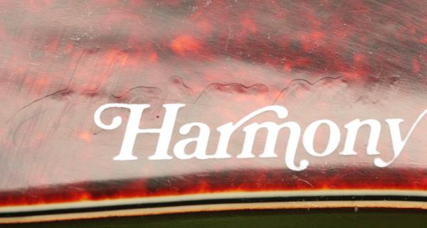 Harmony H420 bass lutherie